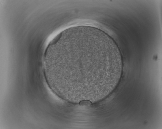 X0000113951520200910231955