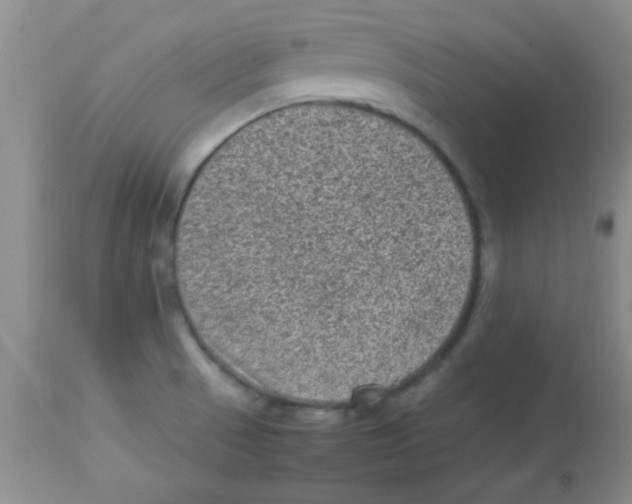 X0000113951521200910231955