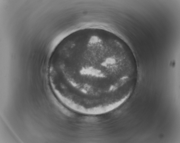 X0000113951525200910231955