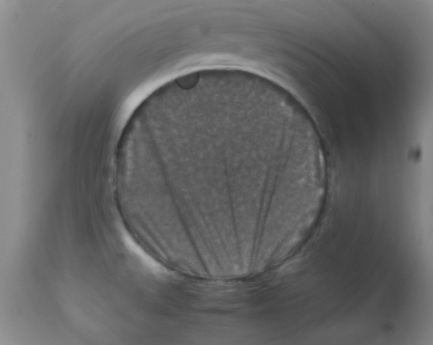 X0000113951527200910231955
