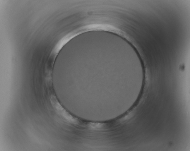 X0000113951529200910231955
