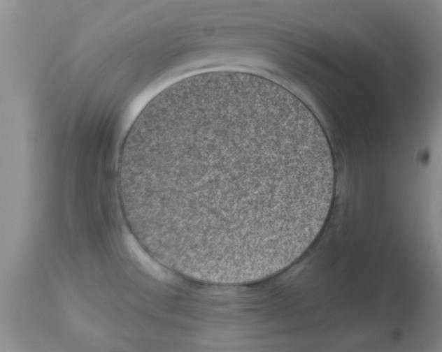 X0000113951532200910231955