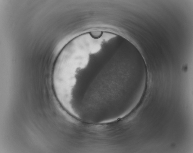 X0000113951533200910231955