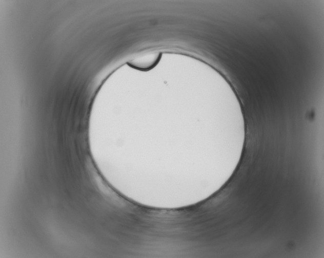 X0000113951534200910231955