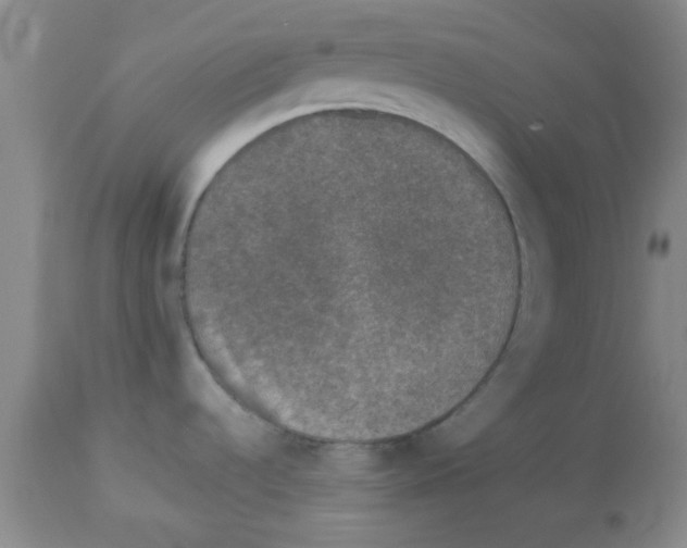 X0000113951536200910231955