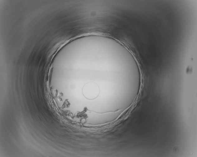 X0000113950001200911061314