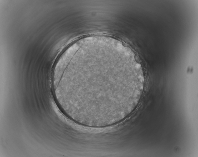 X0000113950002200911061314