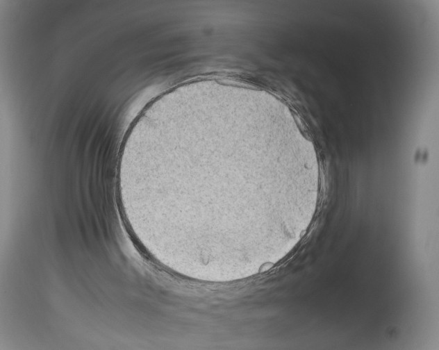 X0000113950003200911061314
