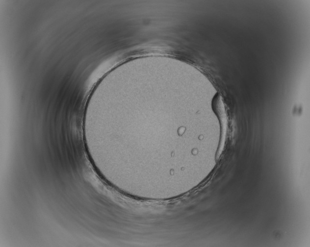 X0000113950004200911061314