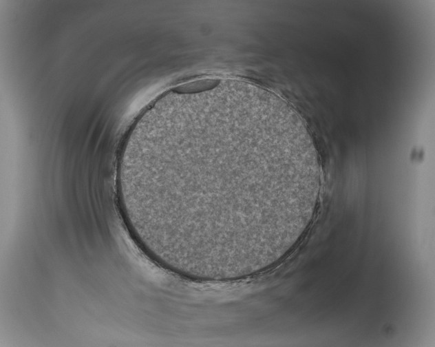 X0000113950005200911061314