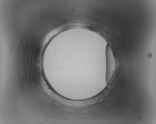 X0000113950006200911061314
