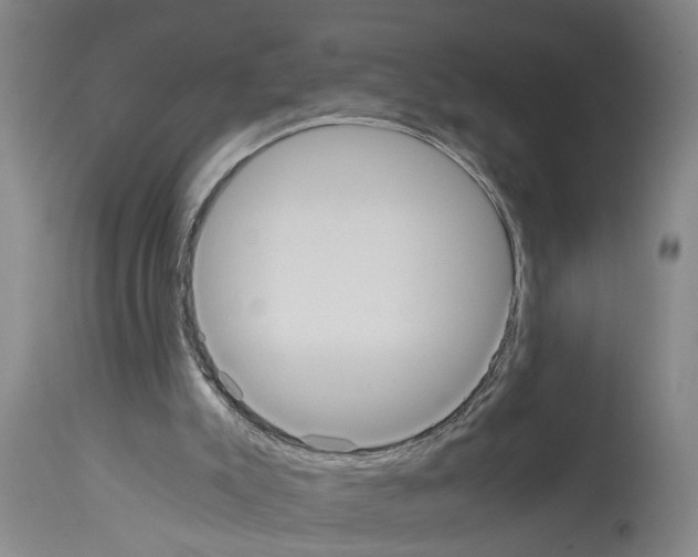 X0000113950007200911061314