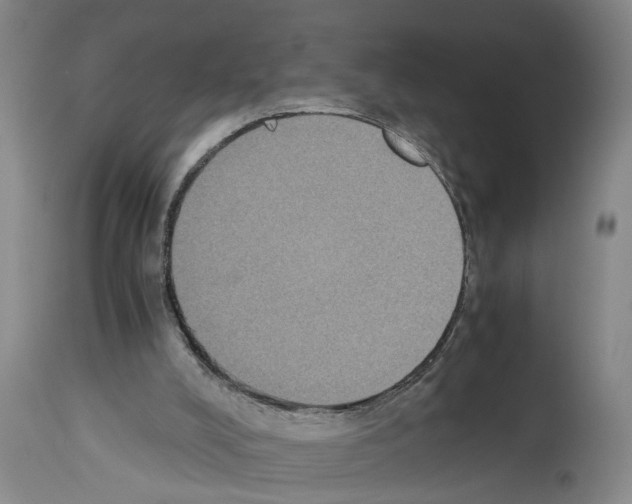 X0000113950008200911061314