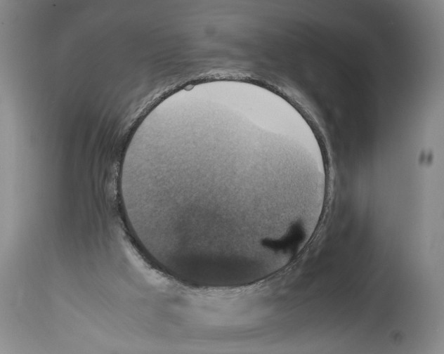 X0000113950009200911061314