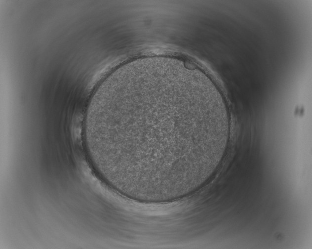 X0000113950010200911061314