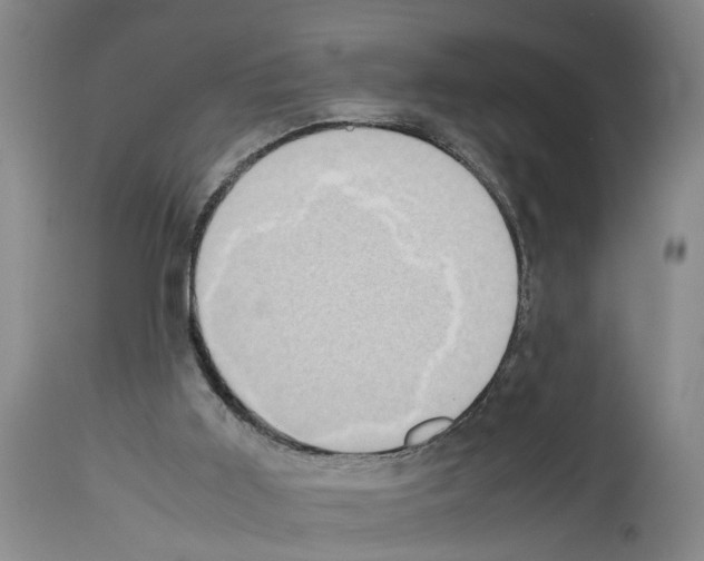 X0000113950011200911061314