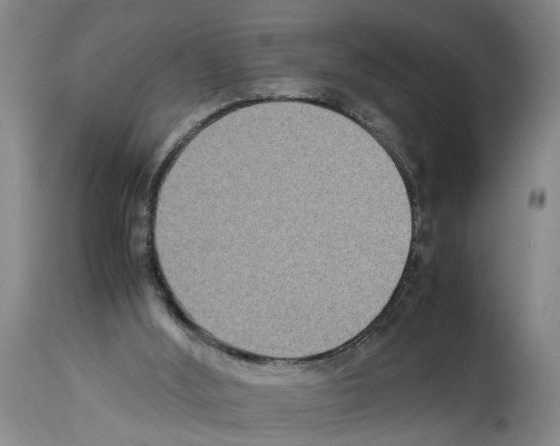 X0000113950012200911061314