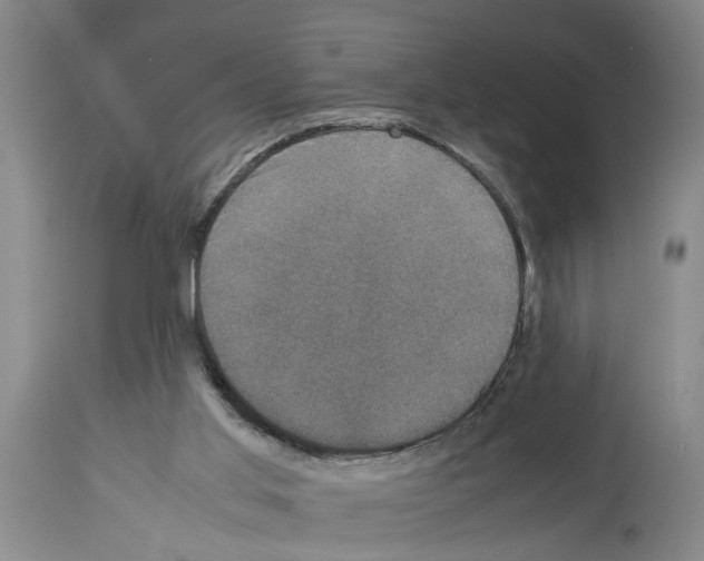 X0000113950013200911061314