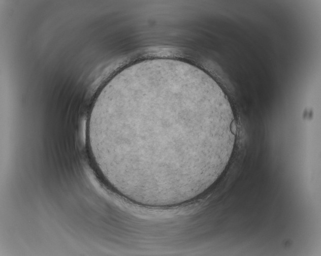 X0000113950014200911061314