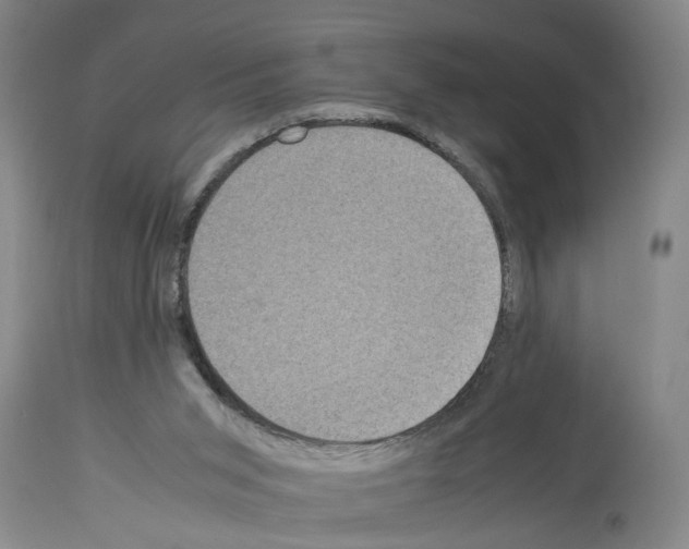 X0000113950015200911061314