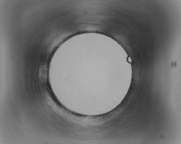 X0000113950016200911061314