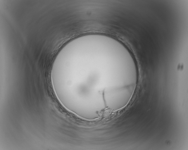 X0000113950017200911061314