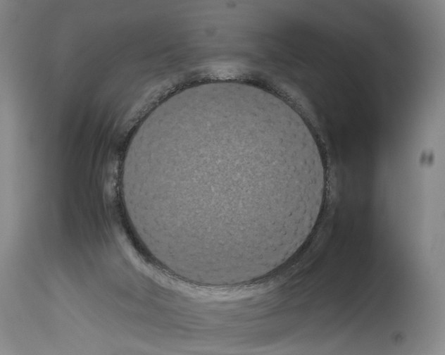 X0000113950018200911061314