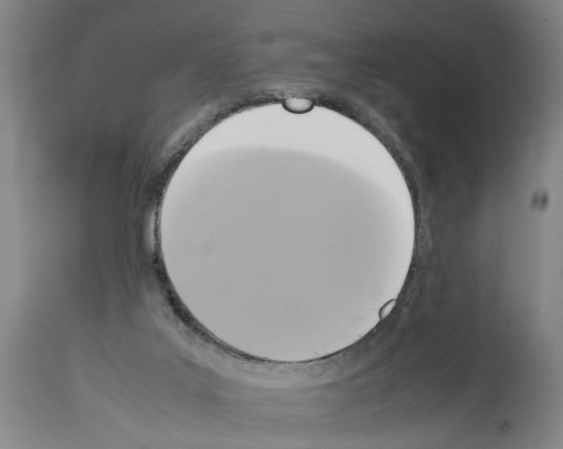 X0000113950019200911061314