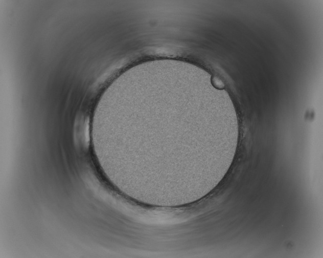 X0000113950020200911061314