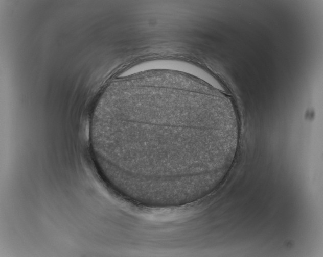 X0000113950021200911061313