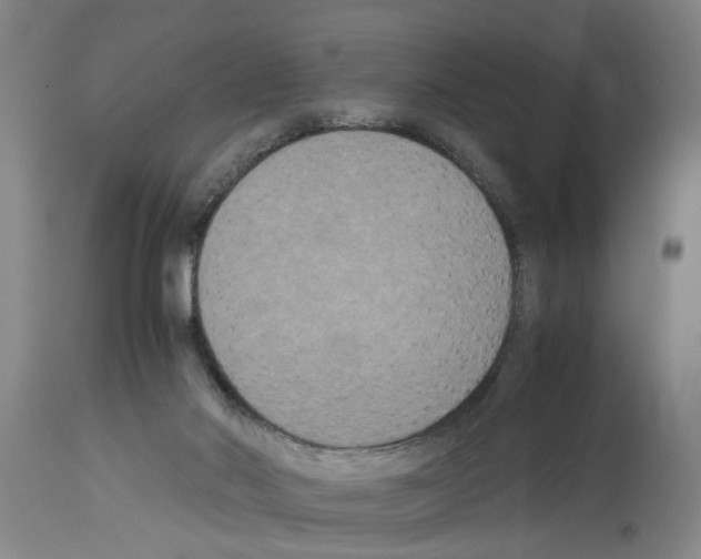X0000113950022200911061313