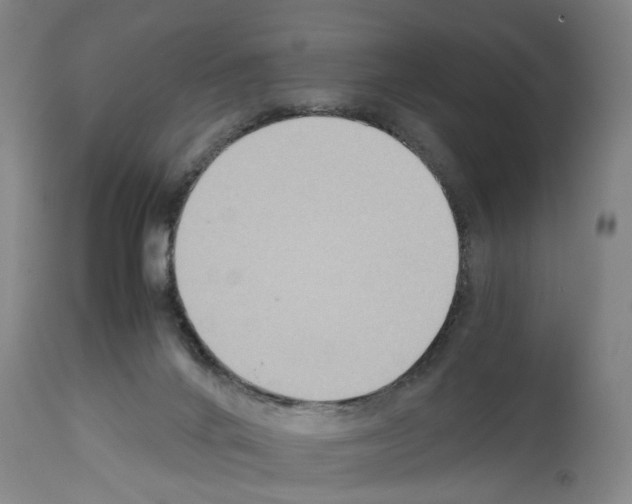 X0000113950024200911061313