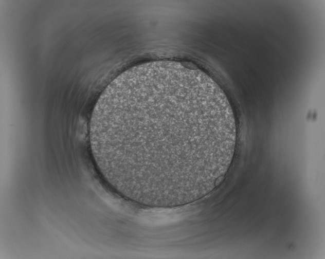 X0000113950025200911061313