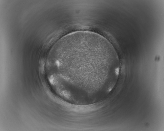 X0000113950026200911061313