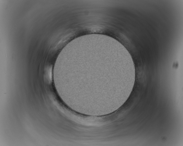 X0000113950028200911061313