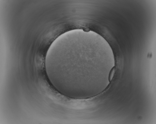 X0000113950029200911061313