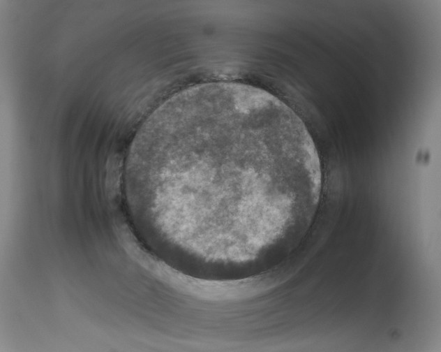 X0000113950030200911061313