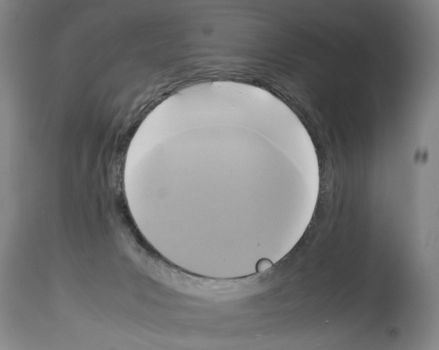 X0000113950031200911061313