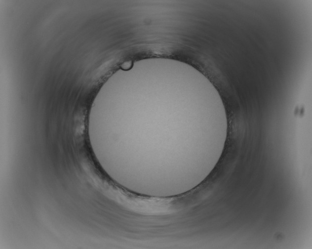 X0000113950032200911061313