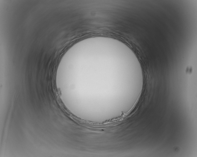 X0000113950033200911061313