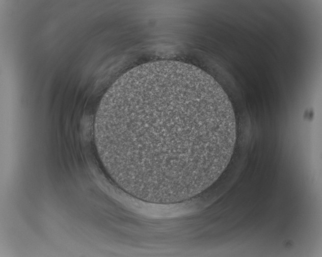 X0000113950034200911061313