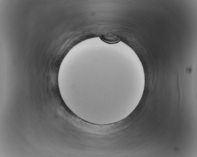 X0000113950035200911061313
