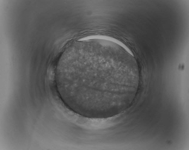 X0000113950037200911061313