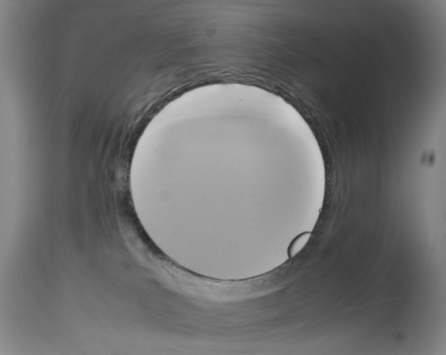 X0000113950039200911061313