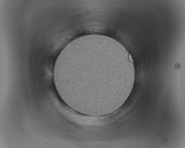 X0000113950040200911061313