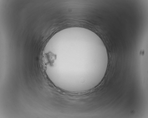 X0000113950041200911061313