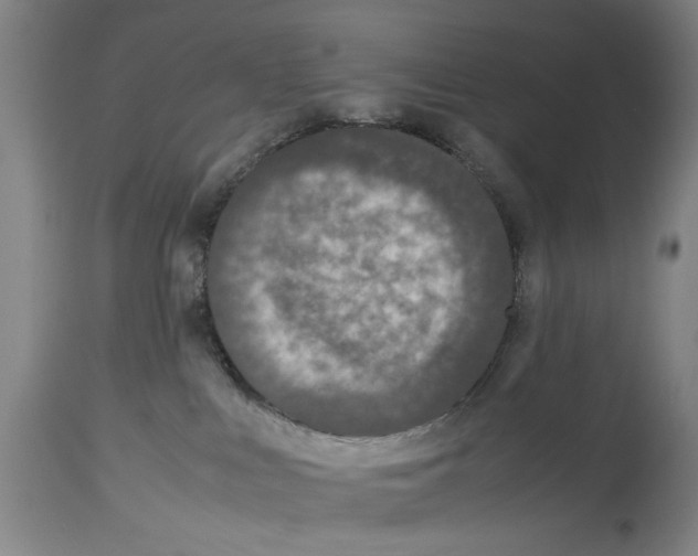 X0000113950043200911061313