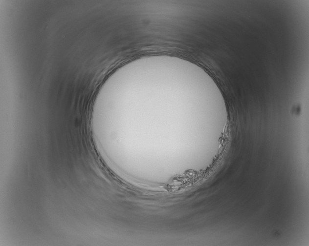 X0000113950045200911061313
