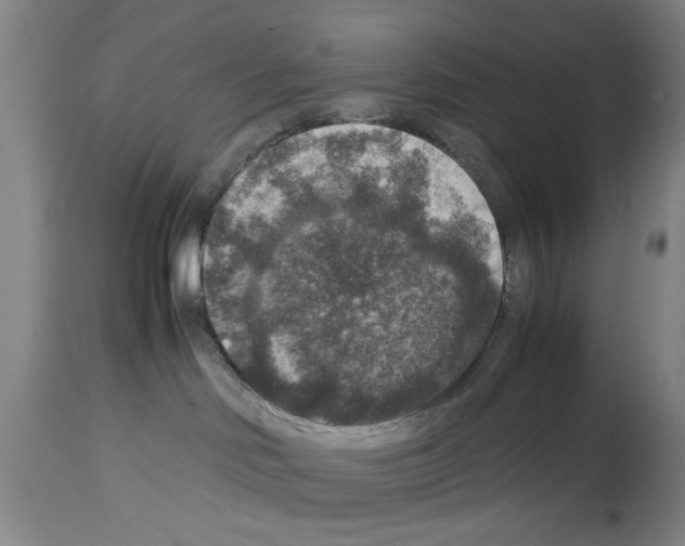 X0000113950046200911061313