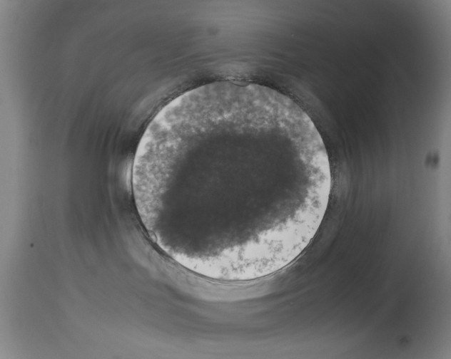 X0000113950047200911061313